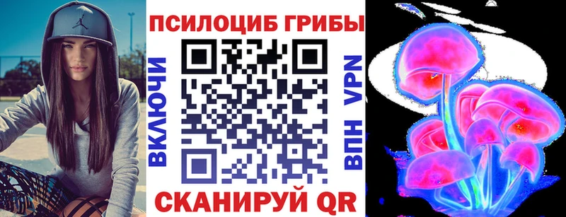 сколько стоит  Тарко-Сале  Псилоцибиновые грибы Cubensis 
